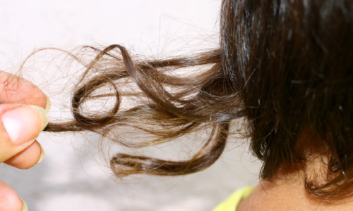 Cor de cabelo natural de primavera para pele escura